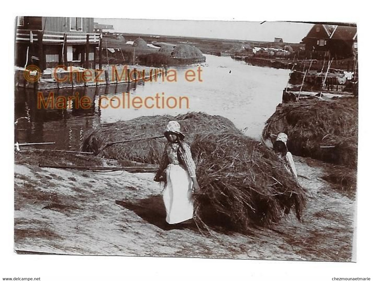 HOLLANDE ILE DE MARKEN ? UN VILLAGE LE TRAVAIL DU FOIN JEUNES FILLES - PHOTO 8.5*6 CM - Beroepen