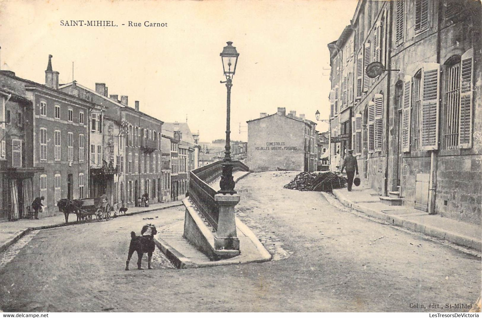 FRANCE - 55 - Saint-Mihiel - Rue Carnot - Chien - Carte Postale Ancienne - Saint Mihiel