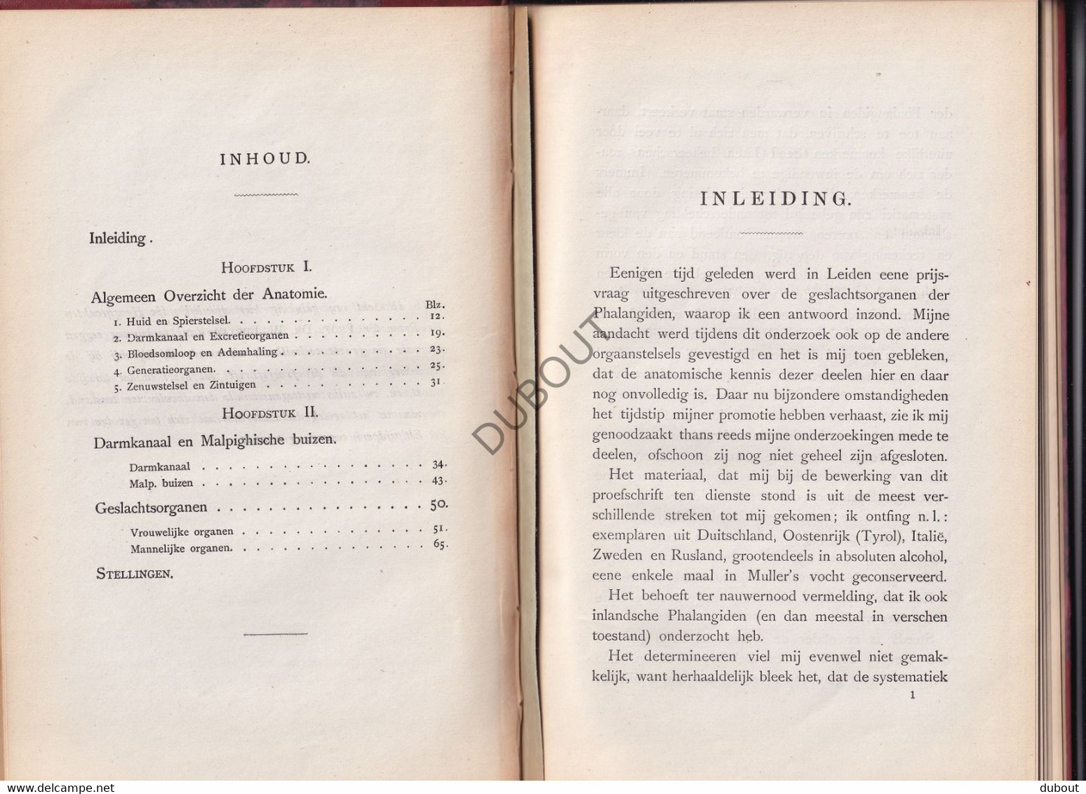 Biologie: Anatomie Der Phalangiden - Thesis, Amsterdam, J. Loman, Deventer - 1881 - Met Uitslaande Illustratie (V2293) - Anciens