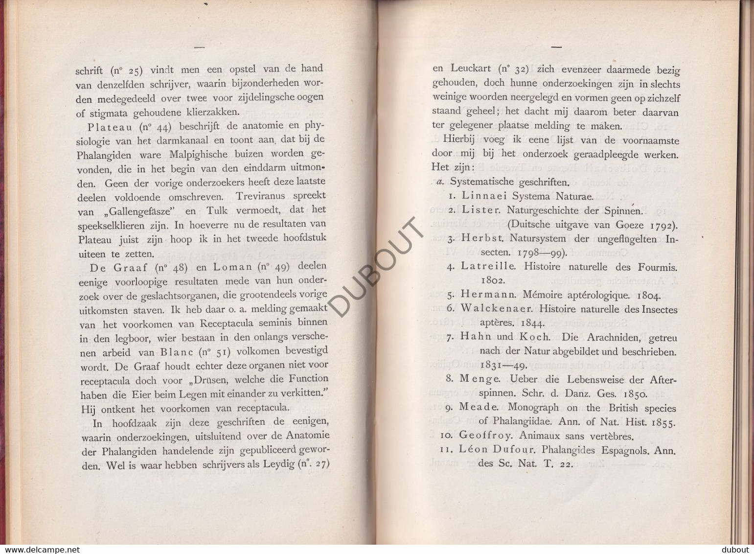 Biologie: Anatomie Der Phalangiden - Thesis, Amsterdam, J. Loman, Deventer - 1881 - Met Uitslaande Illustratie (V2293) - Antique