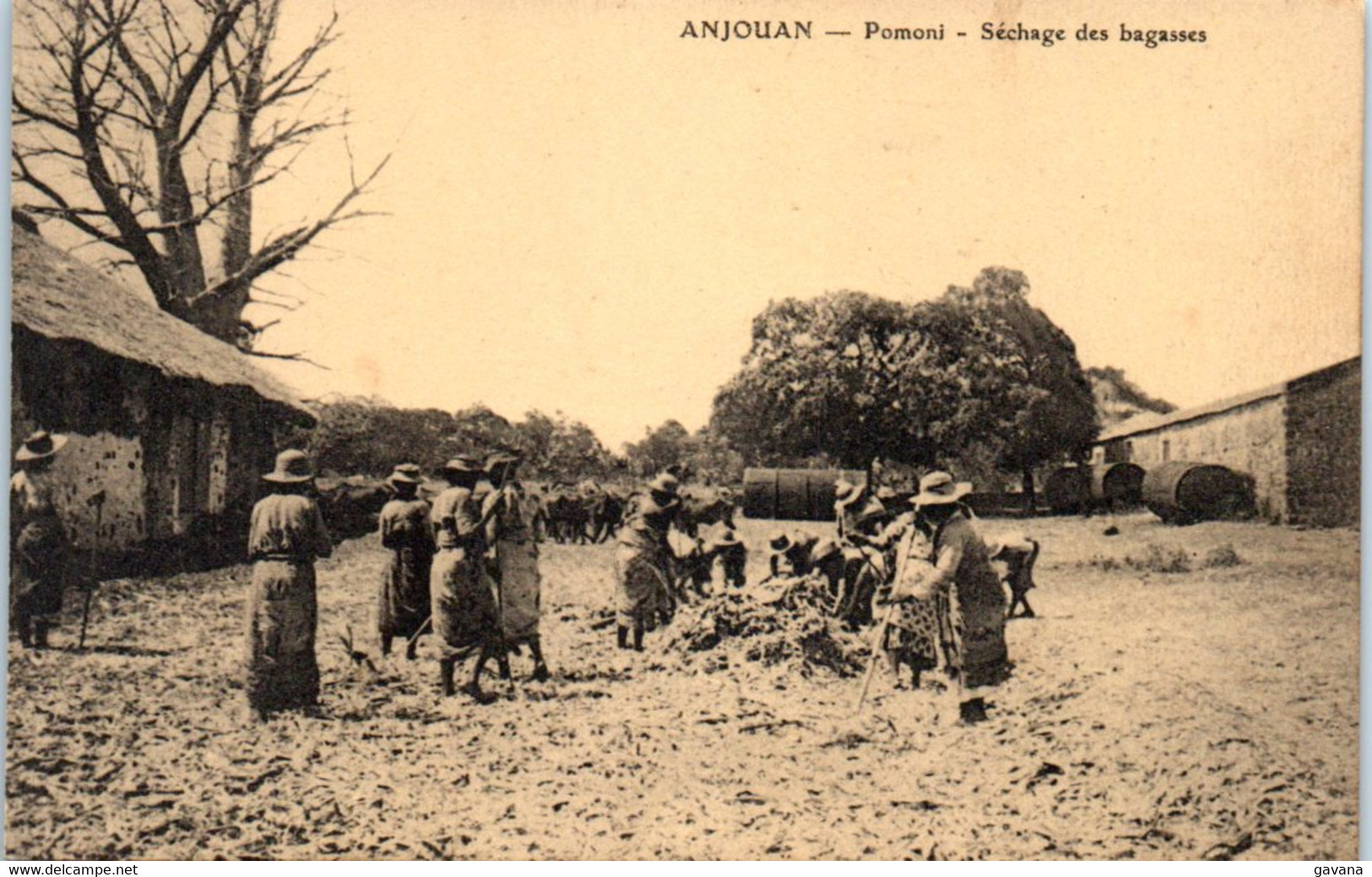 ANJOUAN - Pomon - Séchage Des Bagasses - Comores