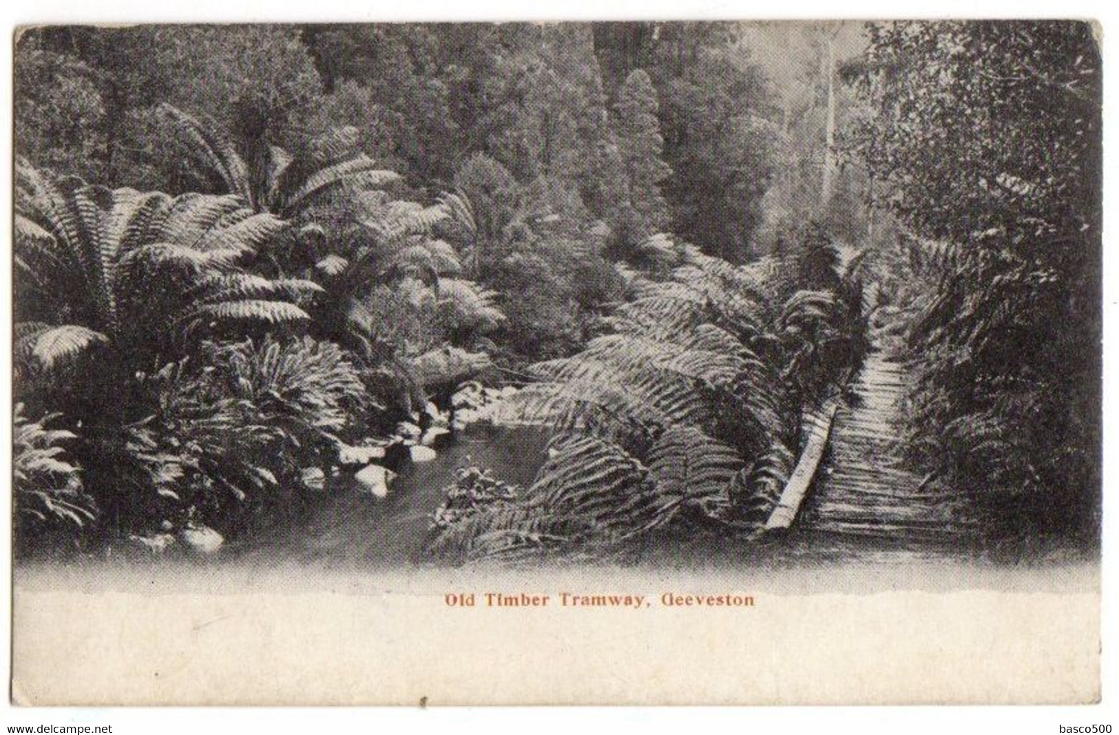 GEEVESTON - Old TIMBER TRAMWAY - Other & Unclassified