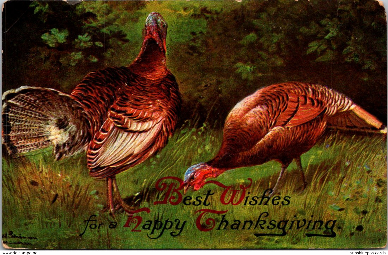 Thanksgiving With Turkeys 1909 - Thanksgiving