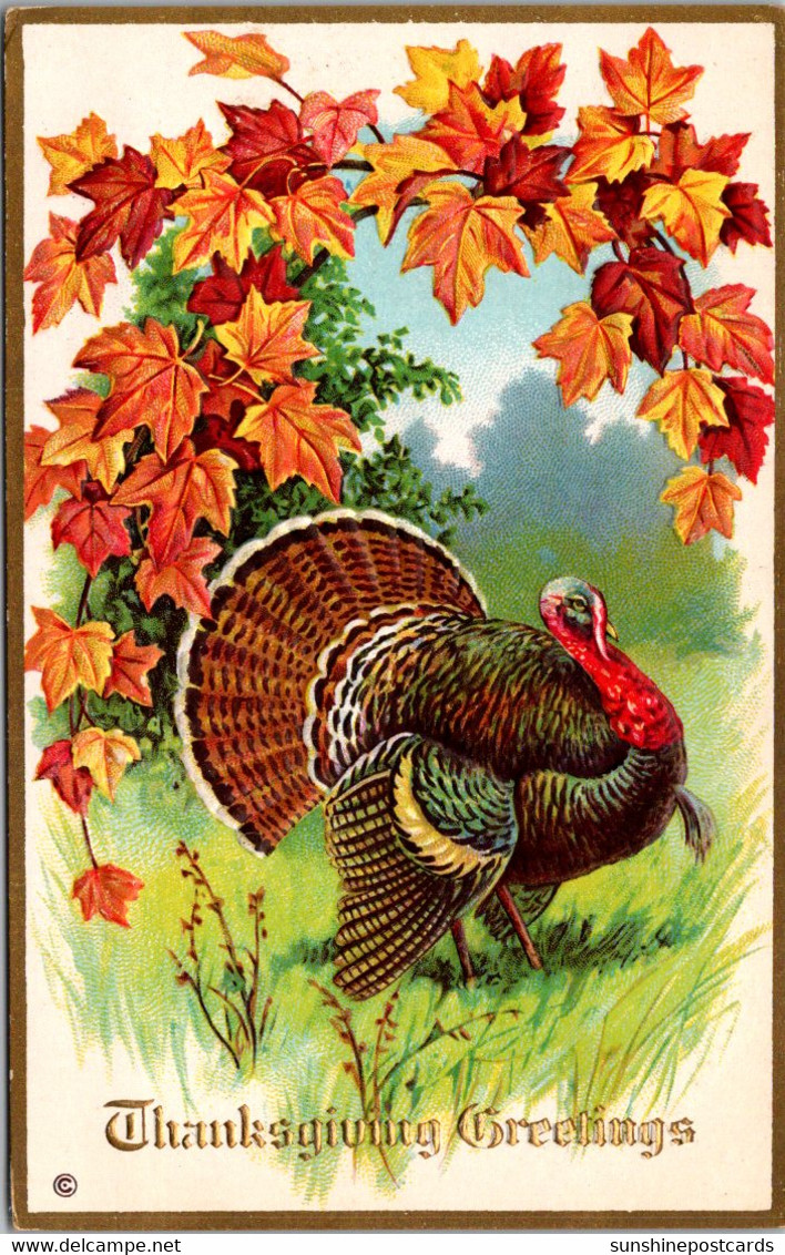 Thanksgiving With Turkey - Thanksgiving