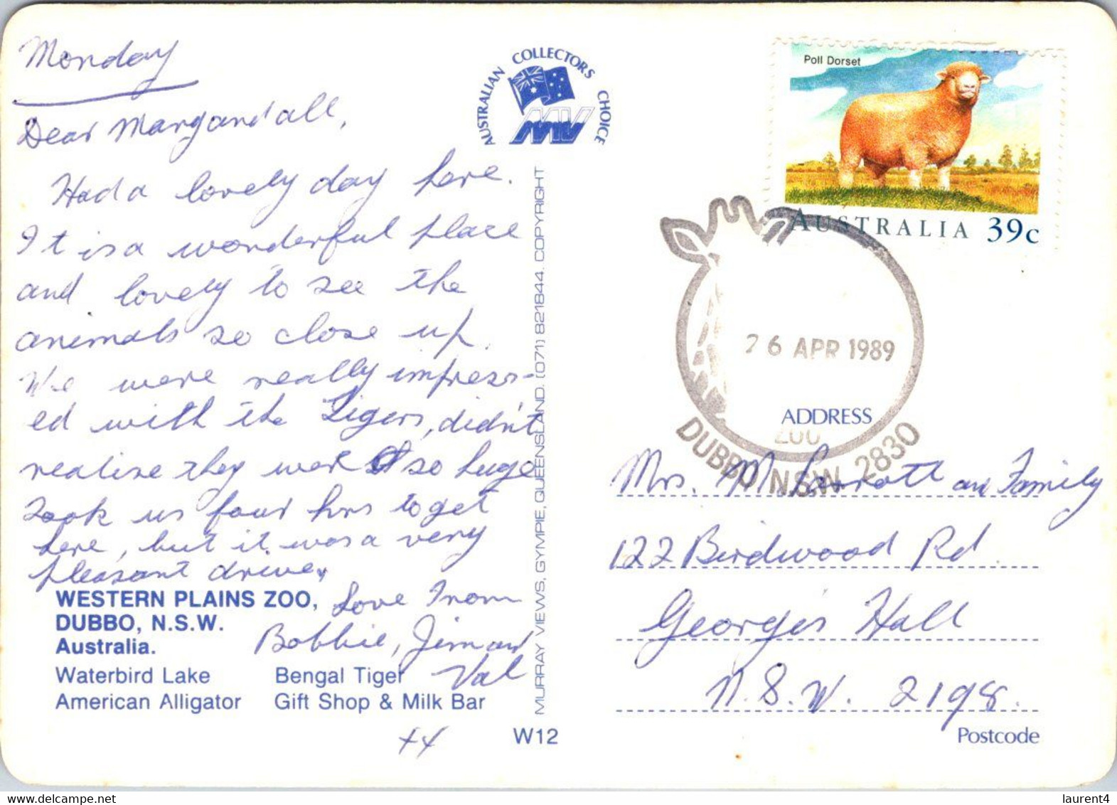(2 P 15) Australia - NSW - Dubbo Western Plain Zoo - With Special Zoo Giraffe Postmark 1989 Over Sheep Stamp - Dubbo
