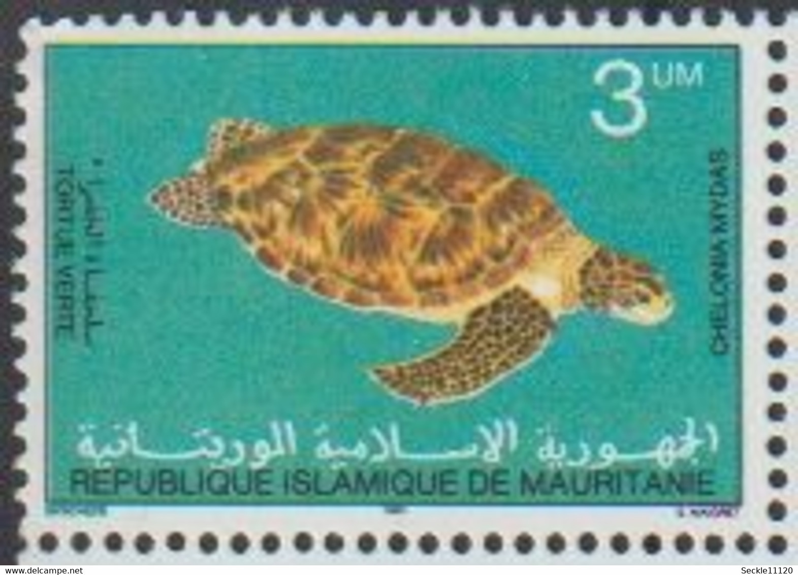 Mauritanie Mauritania - 1982 - 501 / 502 / 503 - Tortues - MNH - Mauritanie (1960-...)