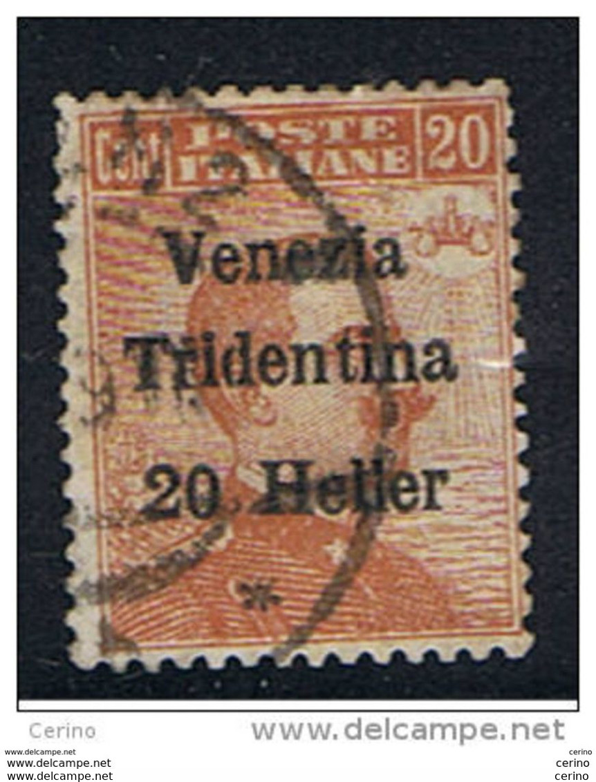 TRENTINO:  1918  SOPRASTAMPATO  -  20 C./20 C. ARANCIO  US. -  SASS. 30 - Trentino