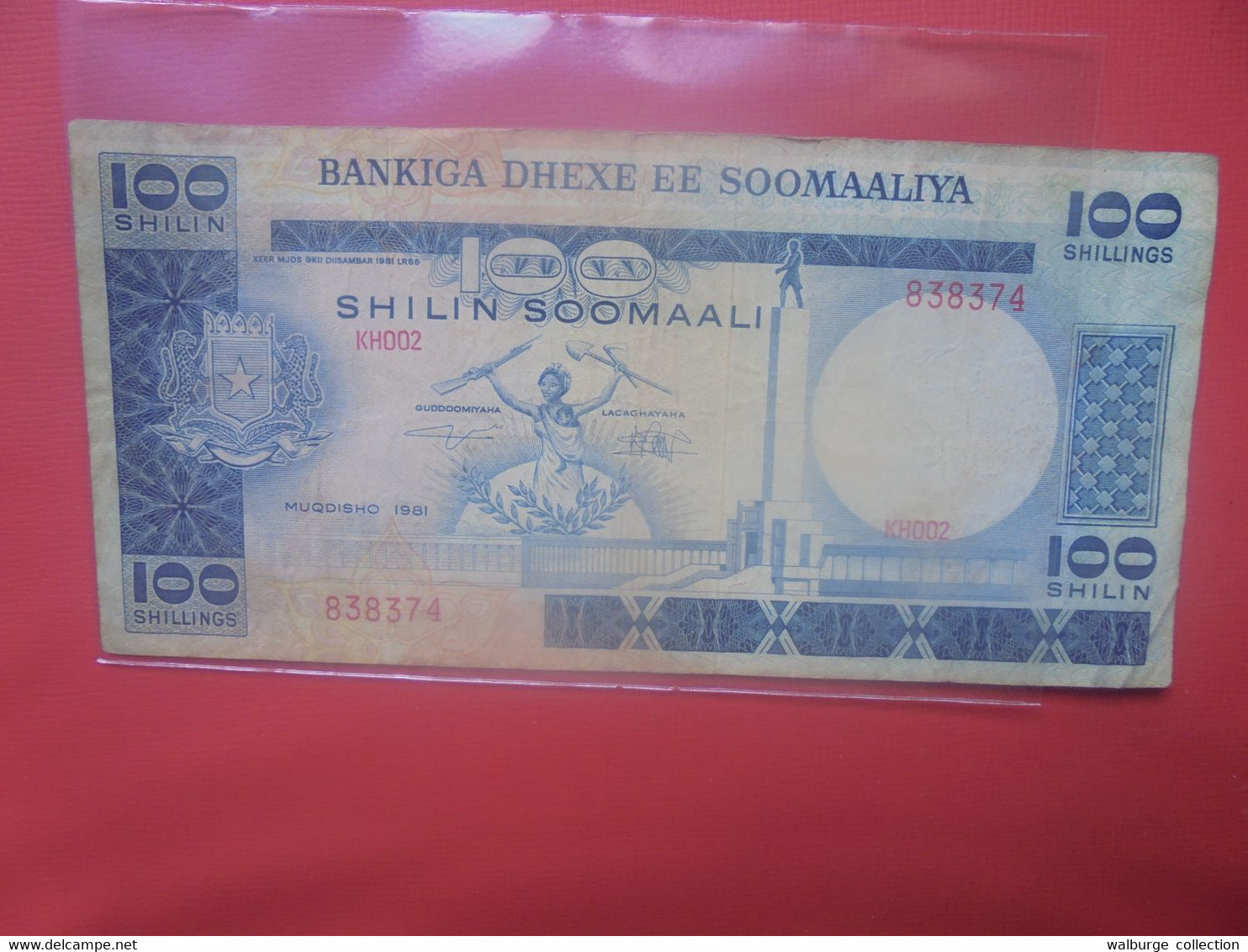 SOMALIE 100 SHILLIN 1981 Circuler (B.29) - Somalia