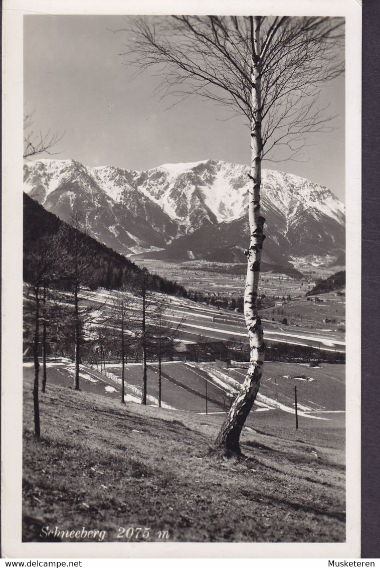 Deutsches Reich PPC Schneeberg Franz Schneidhofer 1940 To WIEN Echte Real Photo Hindenburg Stamp (2 Scans) - Schneeberggebiet