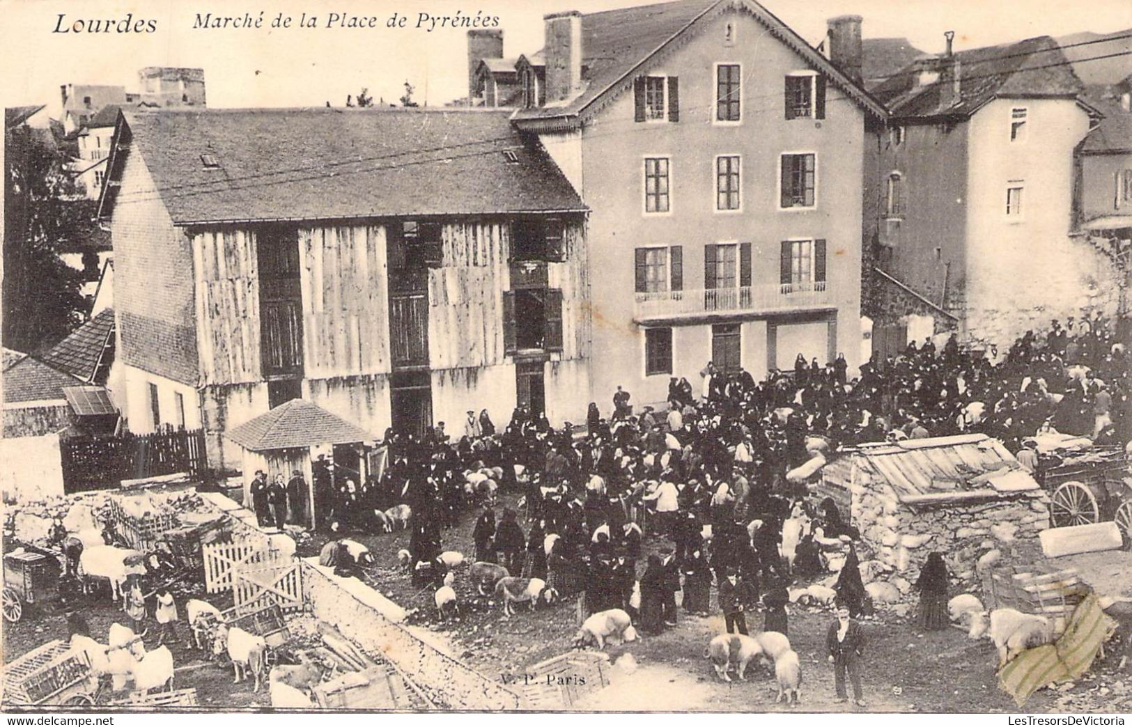 MARCHES - Lourdes - Marché De La Place De Pyrénées - Carte Postale Ancienne - Mercati