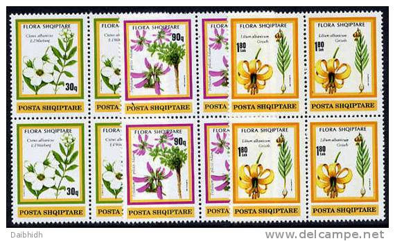 ALBANIA 1991 Plants Set Blocks Of 4 MNH / **.   Michel 2470-72 - Albanien