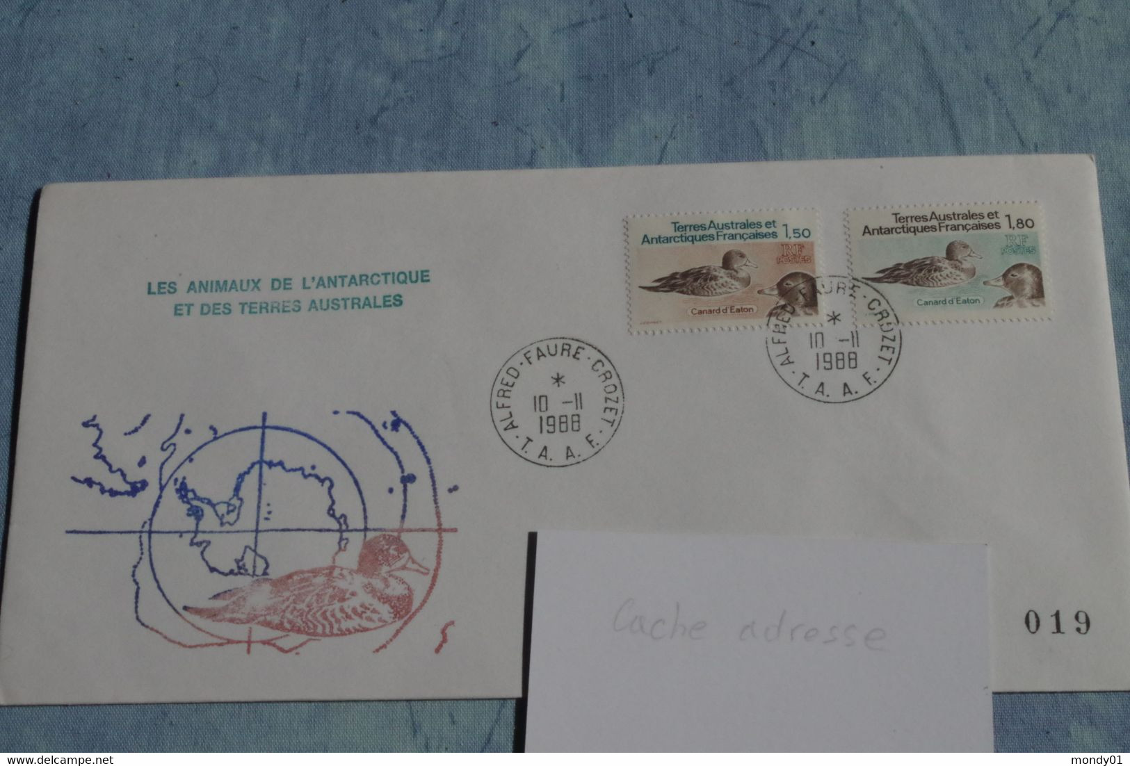 5-773 TAAF FAAT Crozet  Oiseau Bird Polaire 10-11-1988  Canard Duck Patka And Pato Part Akka Hwyaden Lacha Papra Raca - Antarctic Wildlife