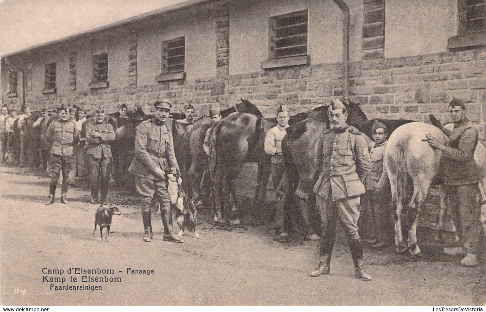 MILITARIA - Camp D'Elsenborn - Pansage -  Carte Postale Ancienne - Kasernen