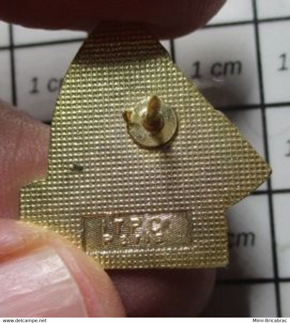 1516c Pin's Pins / Rare Et De Belle Qualité / SPORTS / NATATION AVEC PALME 92 16e CHAMPIONNATS DE FRANCE ASCB - Nuoto