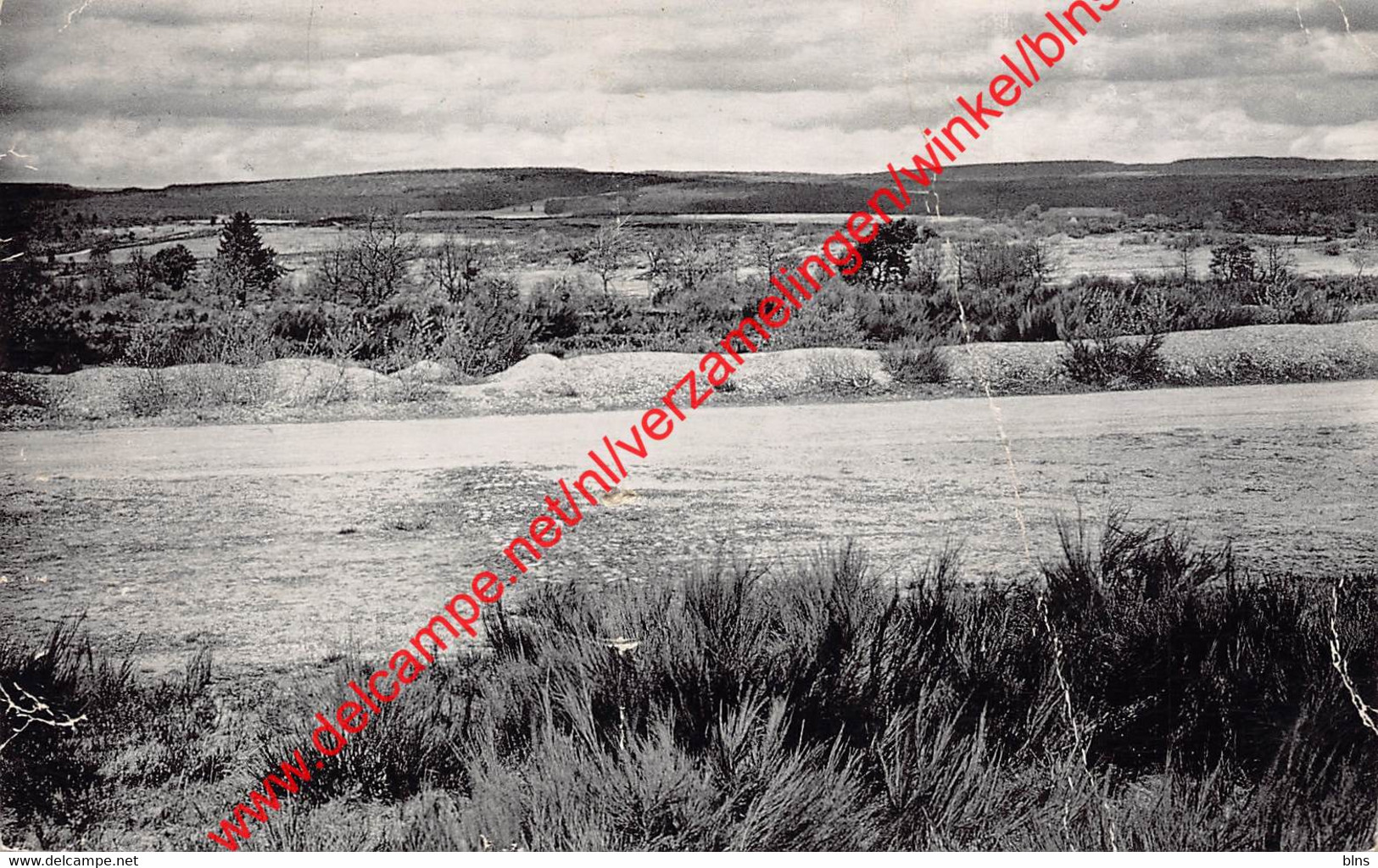 Camp D'Elsenborn - Vue Sur La Plaine - Elsenborn (Kamp) - Elsenborn (camp)