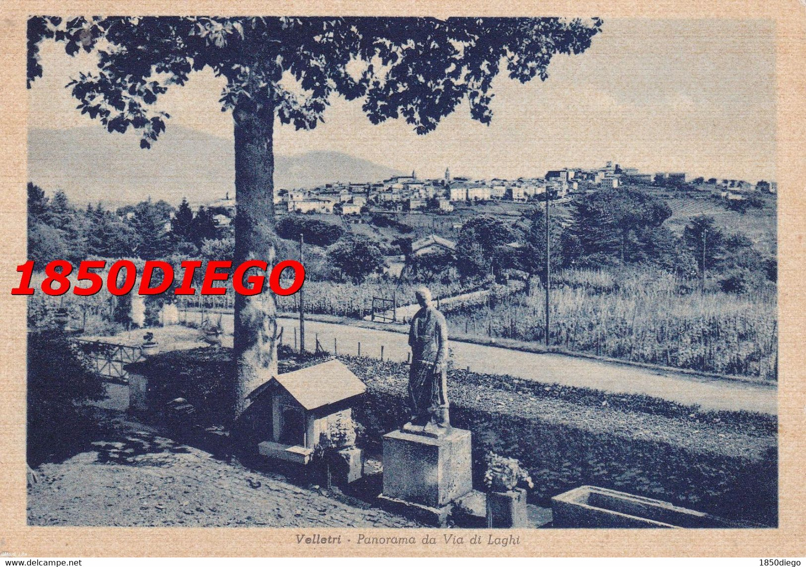 VELLETRI - PANORAMA DA VIA DEI LAGHI F/GRANDE VIAGGIATA 1954  ANIMAZIONE - Velletri