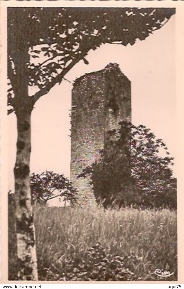 MONTIGNAC -SUR -VÉZÈRE    La Tour Penchée (La Vermondie Commune De Thonac) - Montignac-sur-Vézère