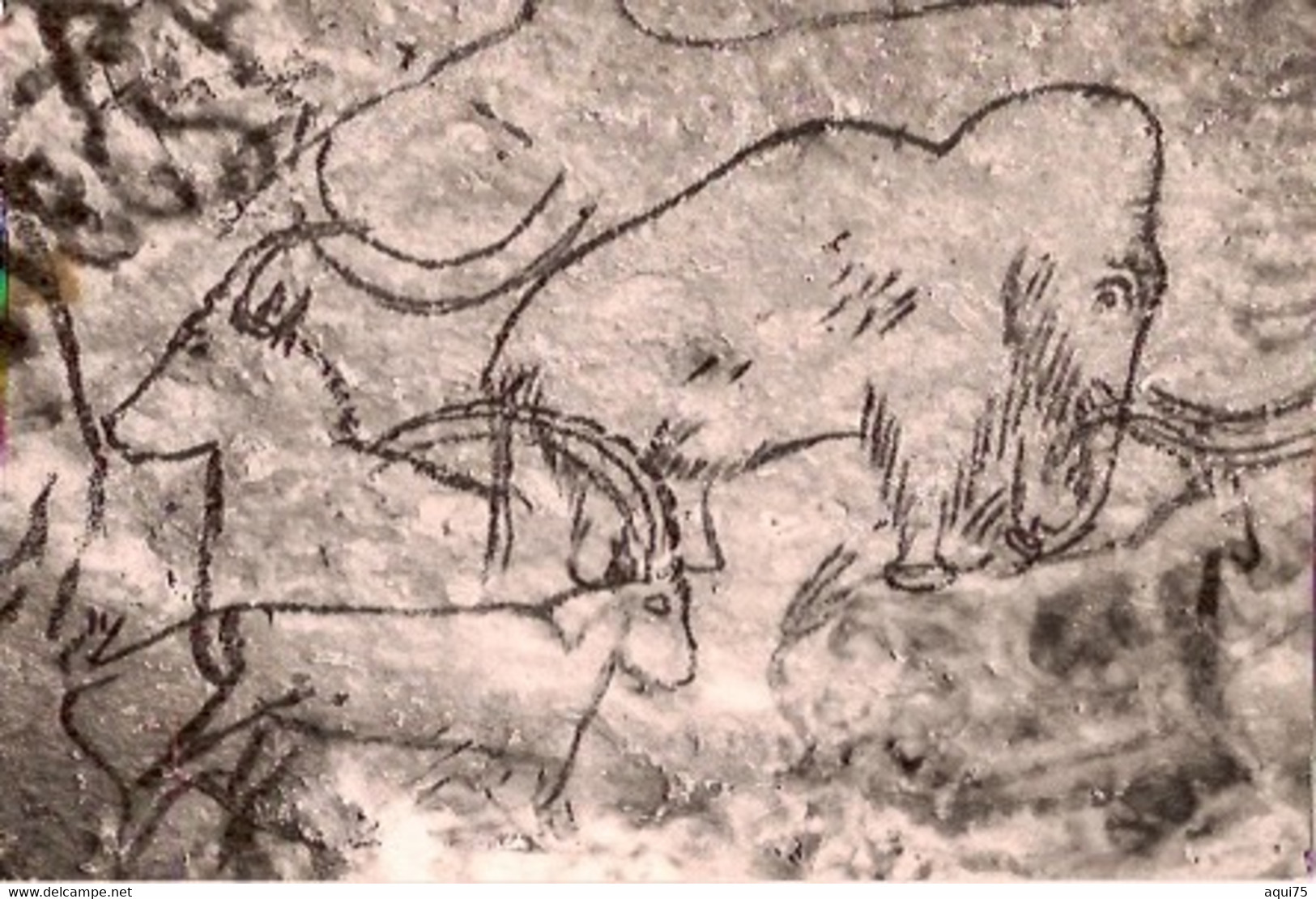 GROTTE DE ROUFFIGNAC    Au Grand Plafond : Mammouth,chamois Et Bouquetin - Montignac-sur-Vézère