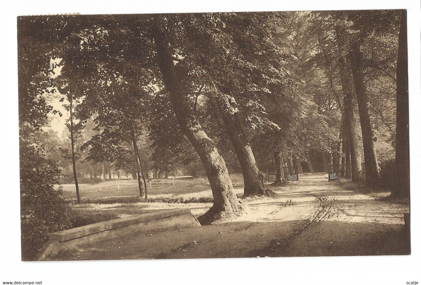 Westerloo   -   Landschap    -   1937   Naar   St. Antonius Brecht - Westerlo