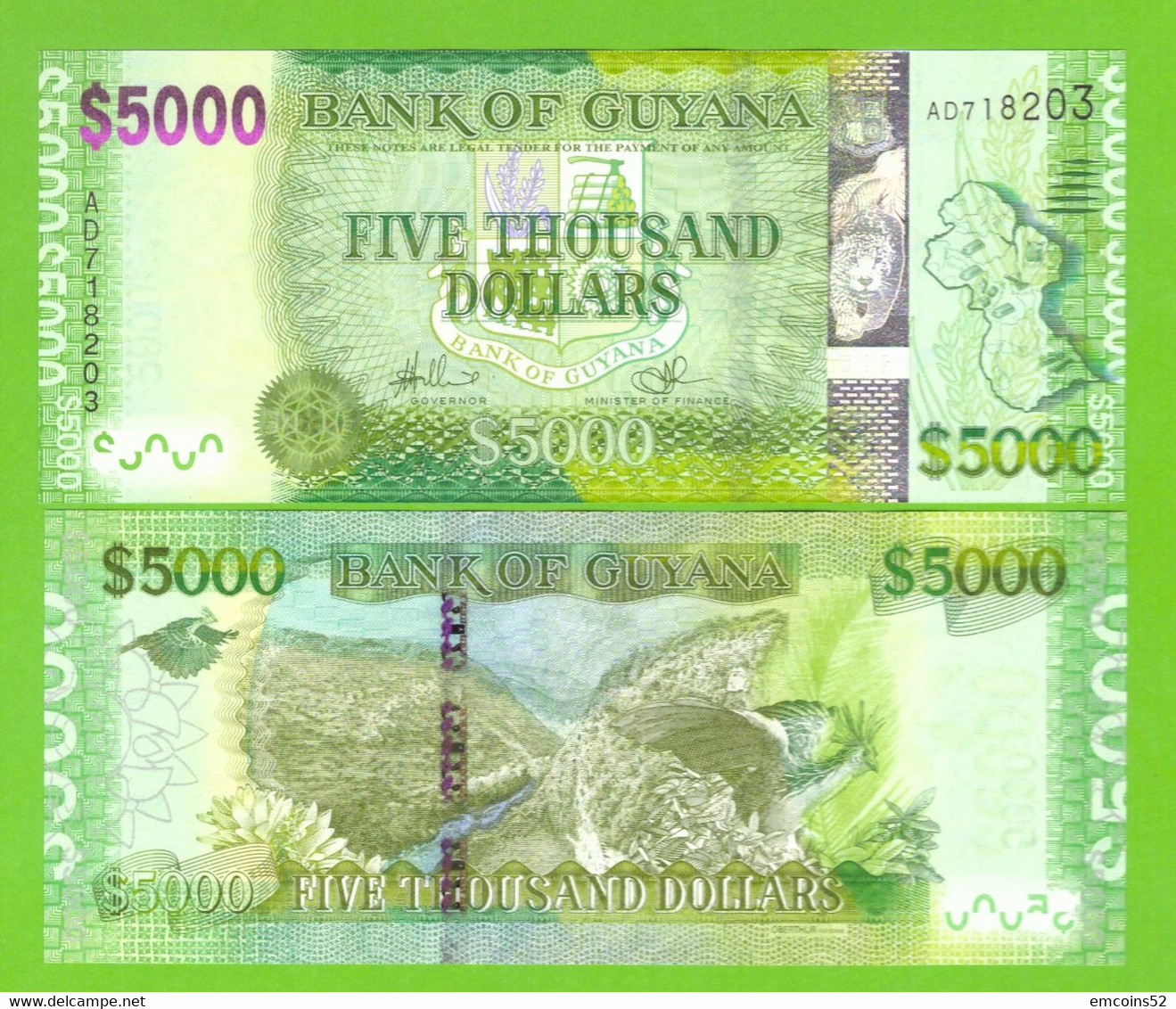 GUYANA 5000 DOLLARS 2013- P-40a(1) UNC - Guyana