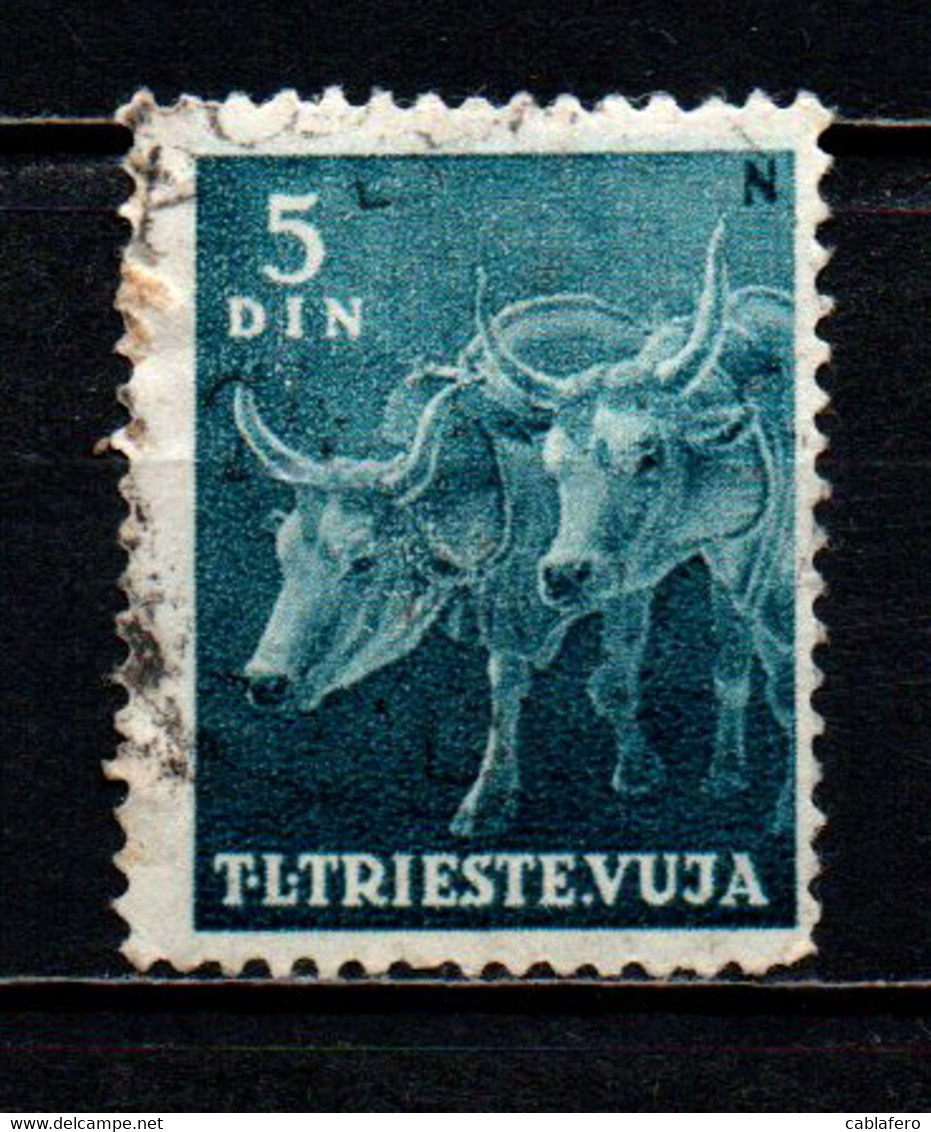 TRIESTE - ZONA B - 1950 - ANIMALI DOMESTICI: BUOI - USATO - Usados