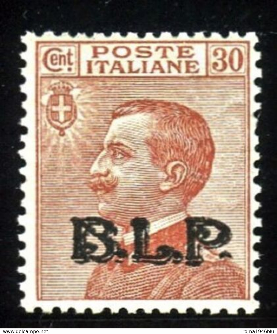 REGNO B.L.P. 1923 30 C. III TIPO N. 17 ** CENTRATO F.TO DIENA - Mint/hinged