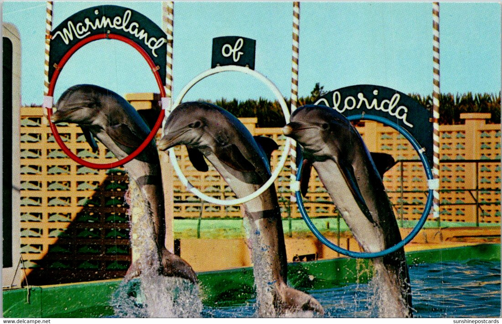 Dolphins Trio Peforming Triplehoop Jump Marineland St Augustine Florida - Dauphins
