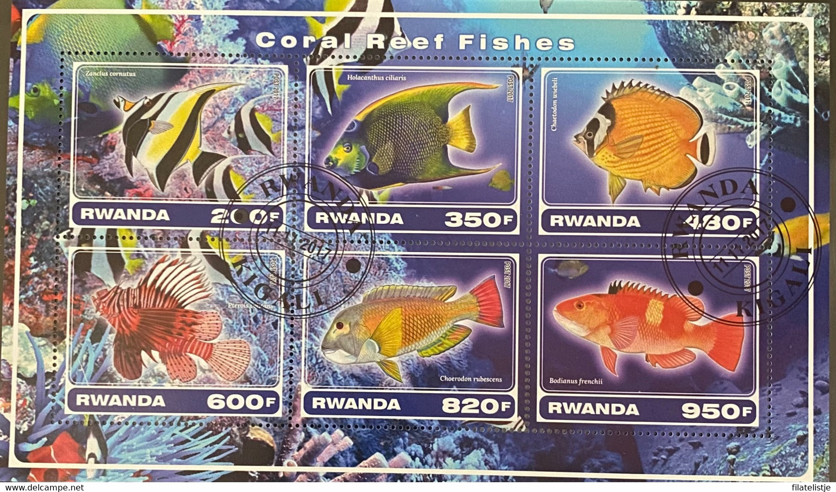 Rwanda Velletje Vissen - Gebraucht
