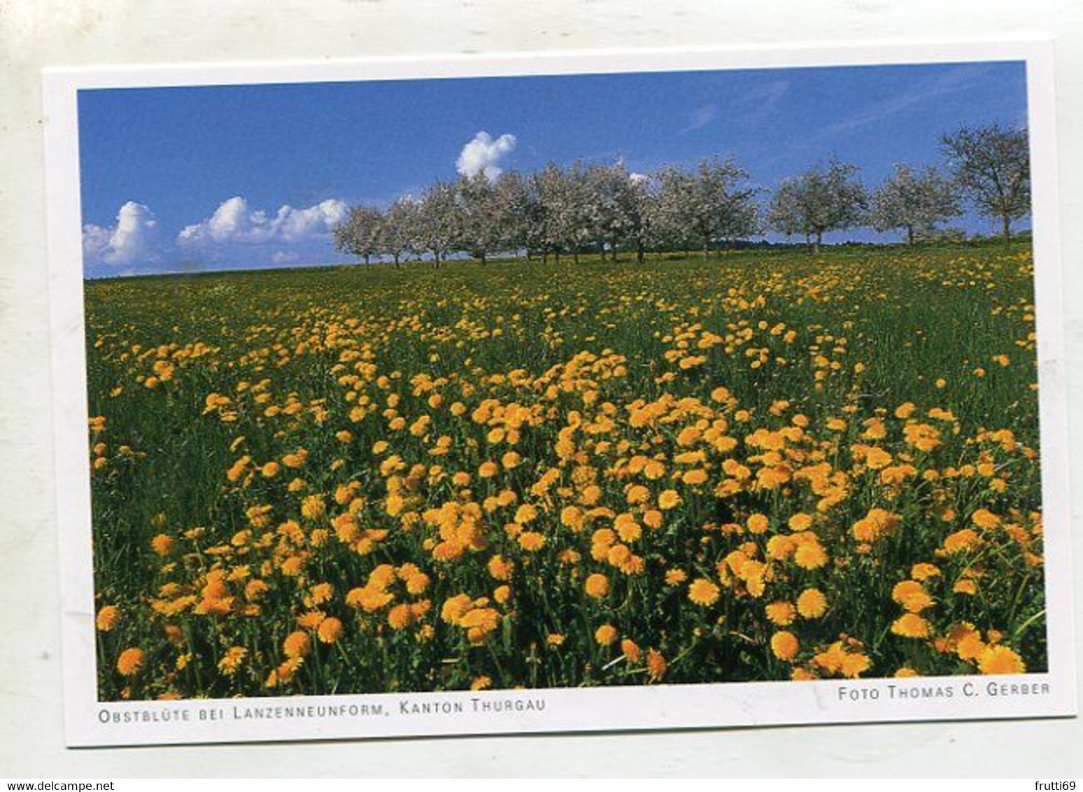 AK 121972 SWITZERLAND - Obstblüte Bei Lanzenneunform - Autres & Non Classés