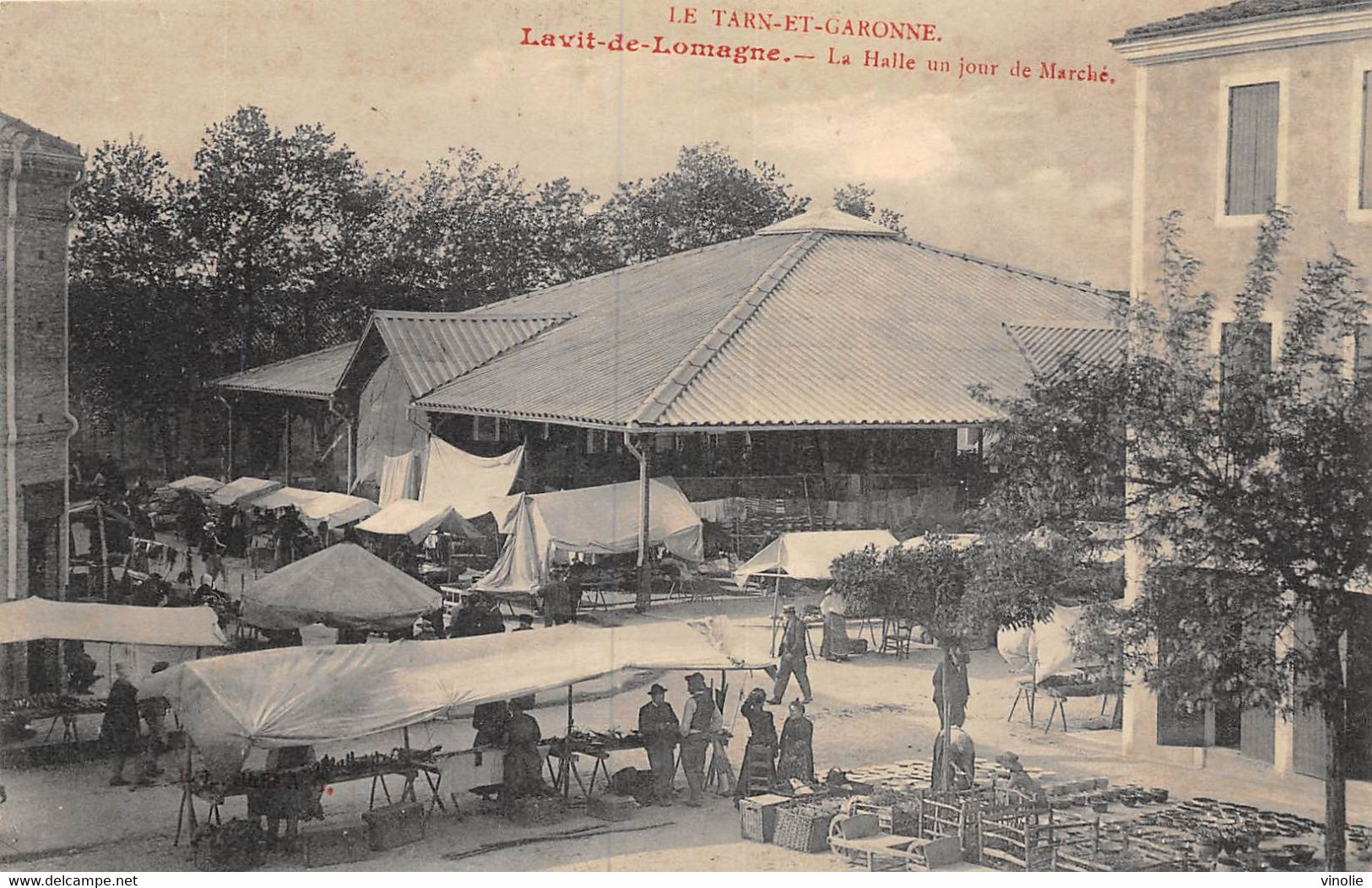 SAL-31. PIE-23-843 : LAVIT-DE-LOMAGNE. LA HALLE JOUR DE MARCHE - Lavit