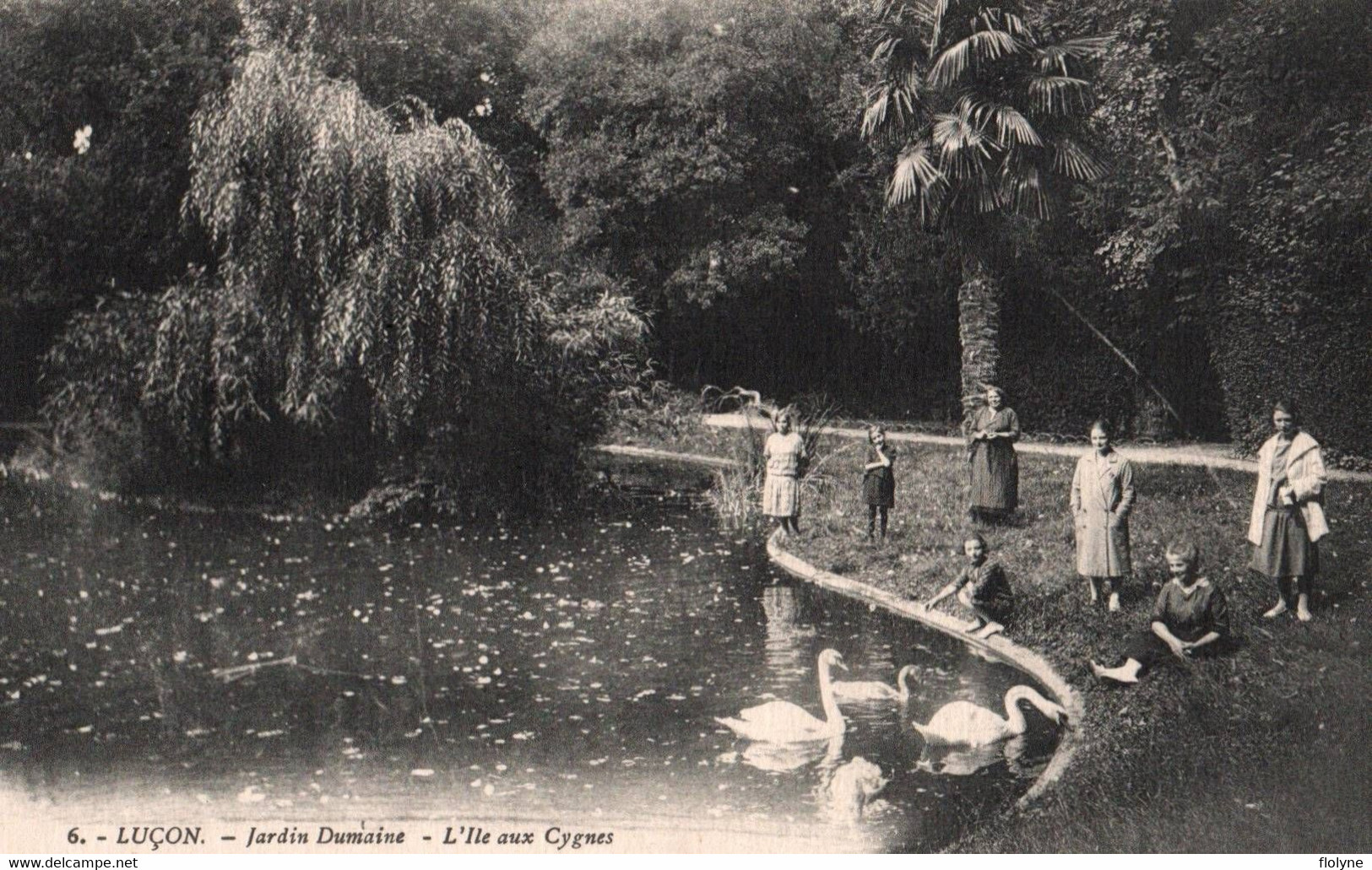 Luçon - Jardin Dumaine - L'ile Aux Cygnes - Lucon