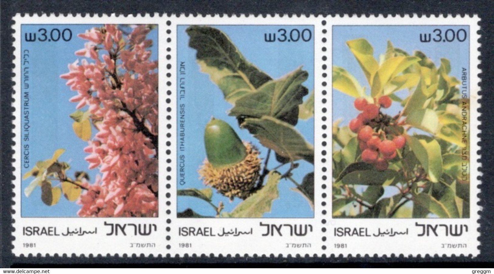 Israel 1981 Set Of Stamps Celebrating Trees In Unmounted Mint - Unused Stamps (without Tabs)