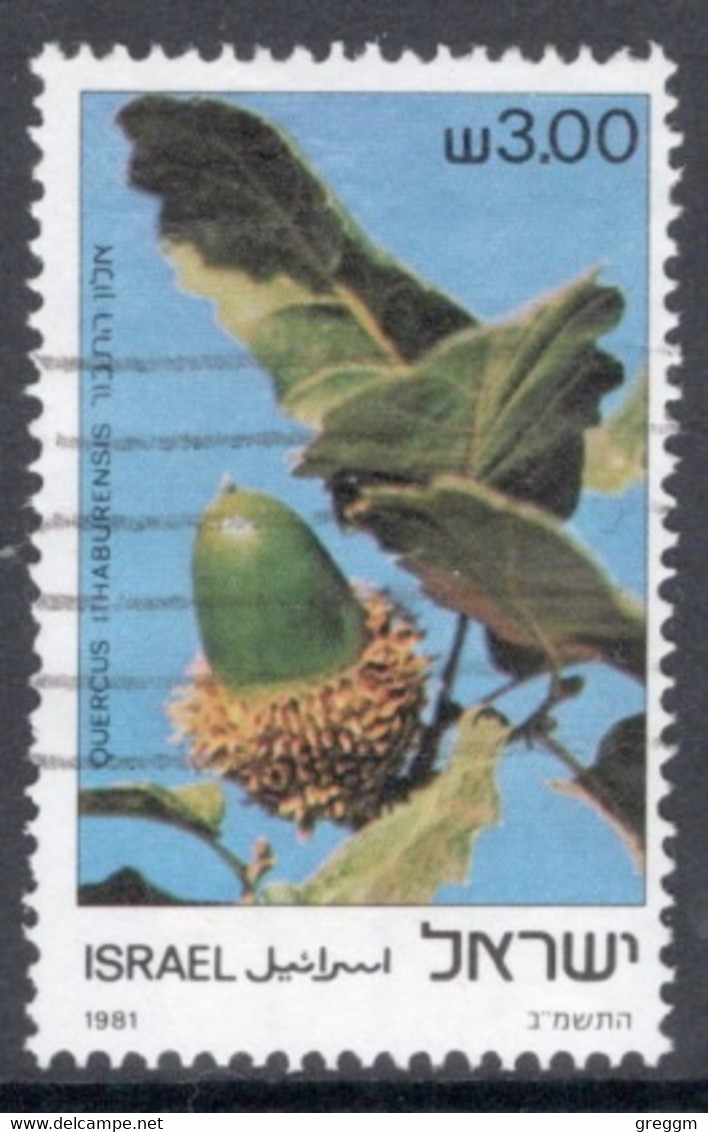 Israel 1981 Single Stamp From The Set Celebrating Trees In Fine Used - Usati (senza Tab)