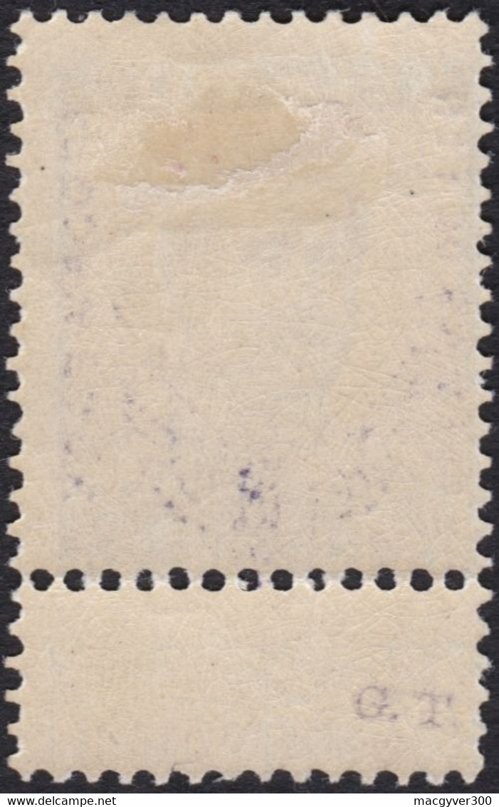 BELGIQUE, 1915, Chemins De Fer ( COB TR51 *) - Mint