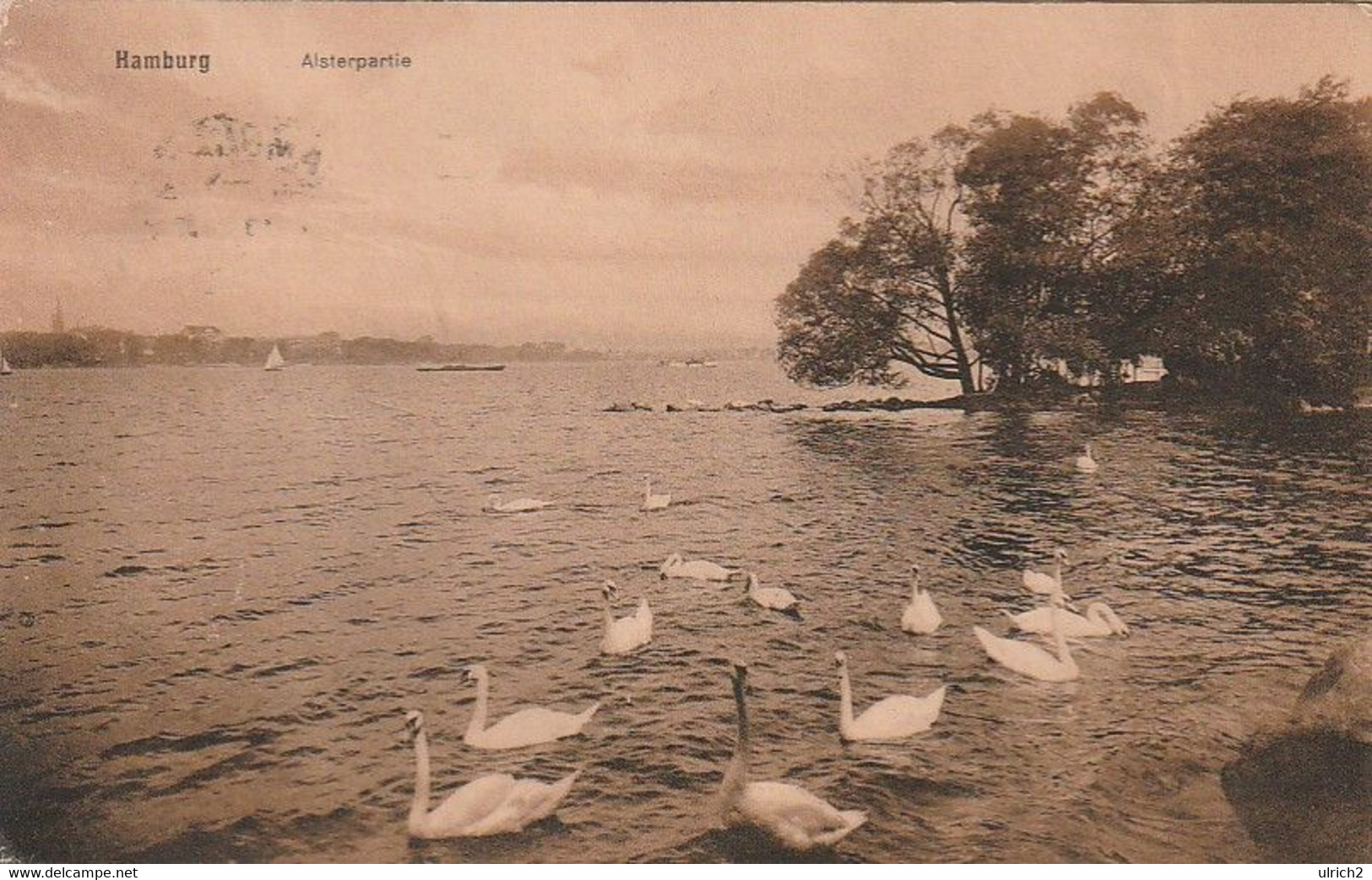 AK Hamburg - Alsterpartie - Schwäne - 1918 (63558) - Nord