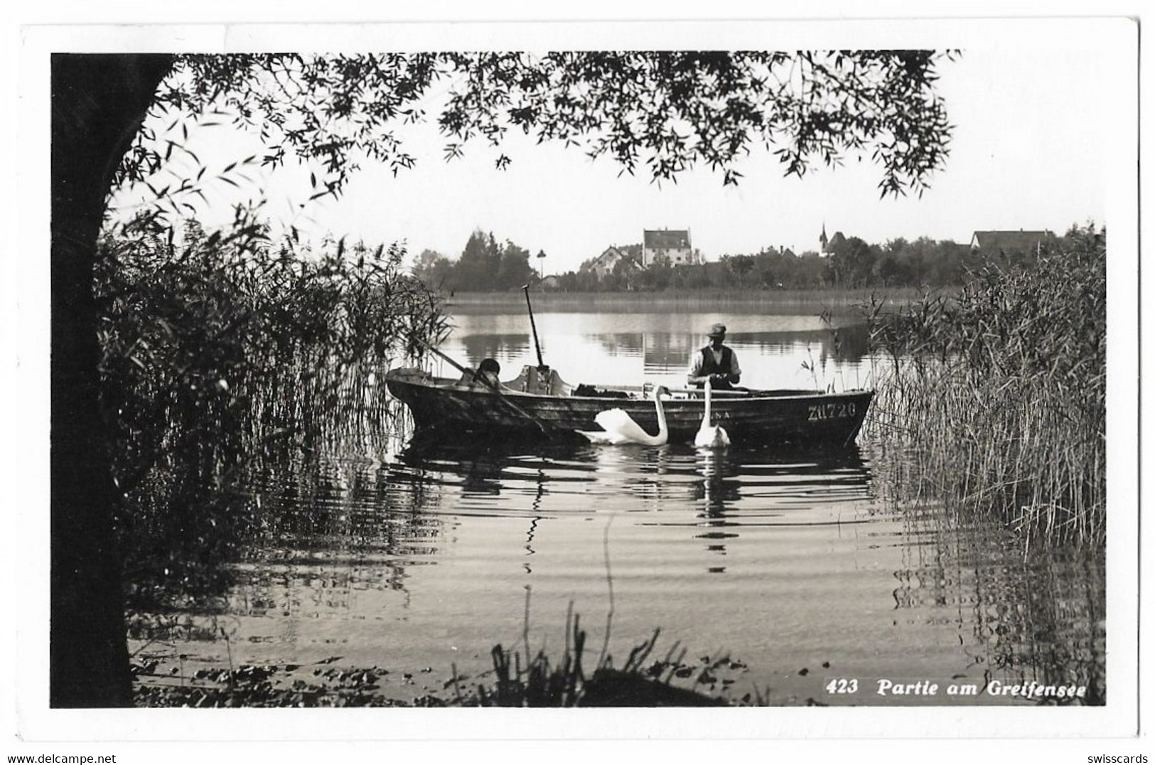 GREIFENSEE: Fischer Mit Schwänen 1943 - Greifensee