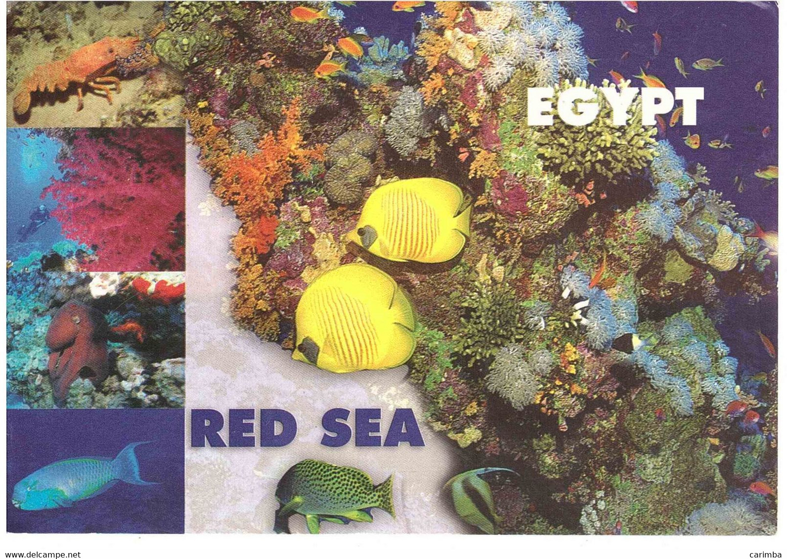 CARTOLINA PER ITALIA RED SEA - Storia Postale