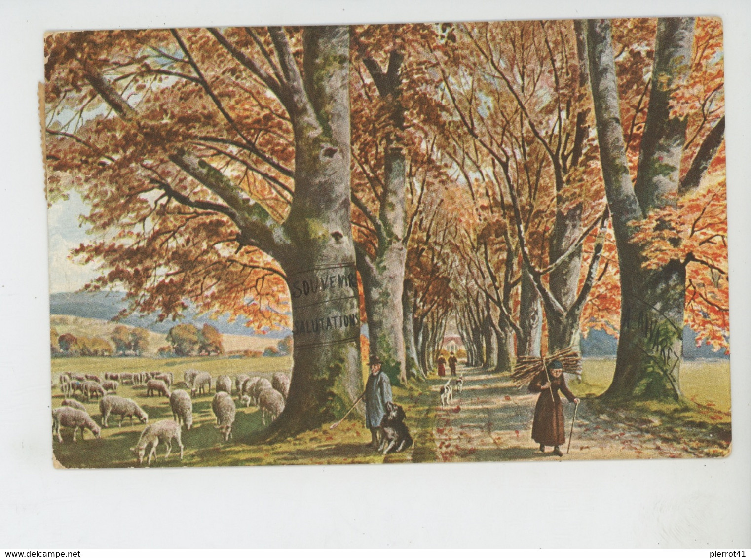 Illustrateur MÜLLER - Munich - Jolie Carte Fantaisie Ramasseuse De Bois Mort , Berger Avec Moutons - Série WALD UND FELD - Mueller, August - Munich