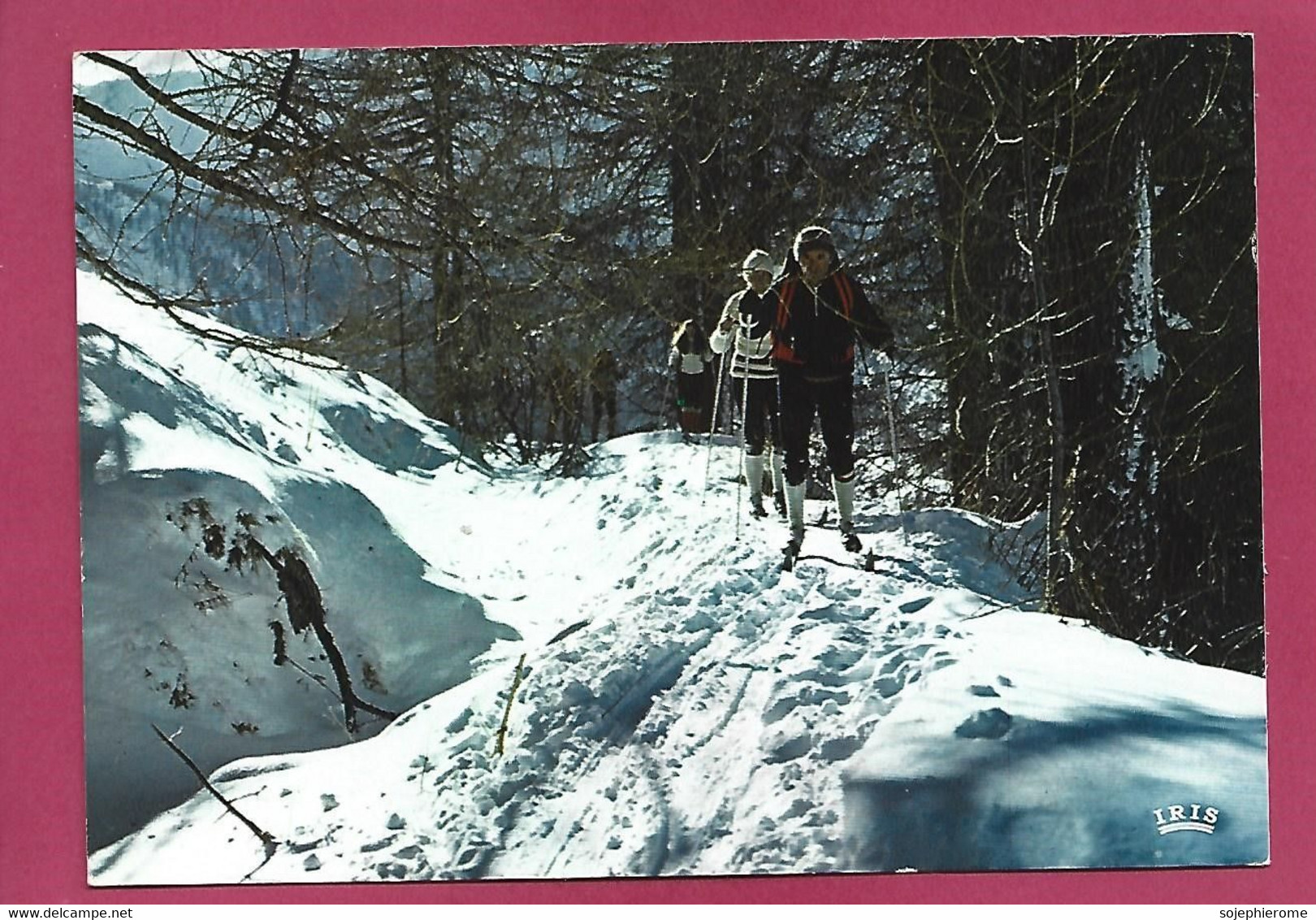 Ski De Fond Ski Nordique 2scans Flamme D'Autrans 1982 - Sports D'hiver