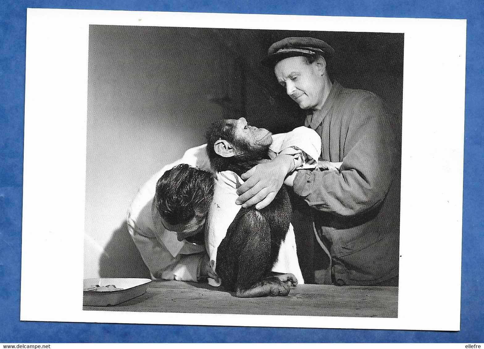 CPM Robert Doisneau Auscultation D' Un Chimpanzé Fiévreux En 1943 - Nouvelles Images 1990 - Peu Fréquente - Doisneau