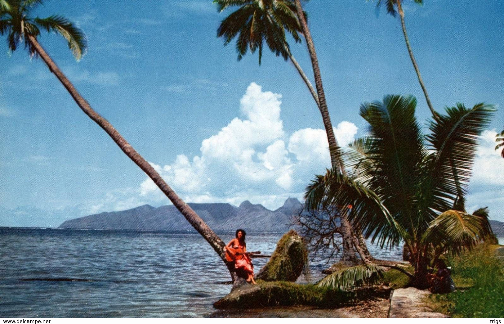 Tahiti - Tahitian Singer On The Beach - Polynésie Française