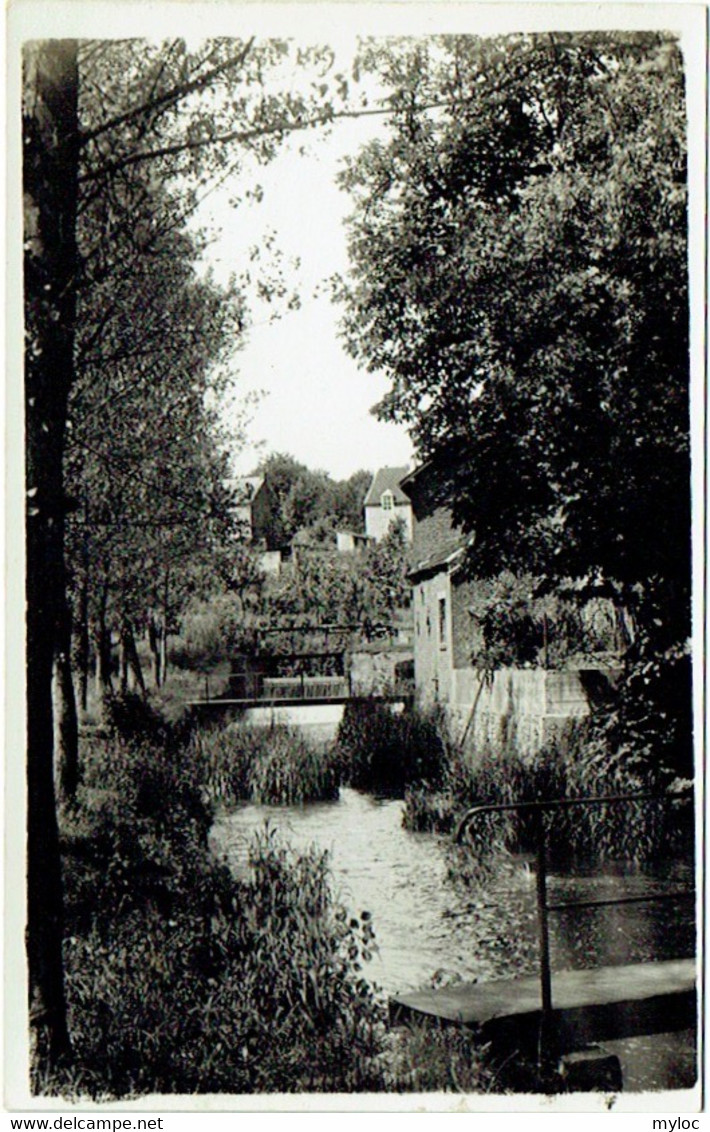 Carte Photo. Silenrieux. L'Eau D'Heure. - Cerfontaine