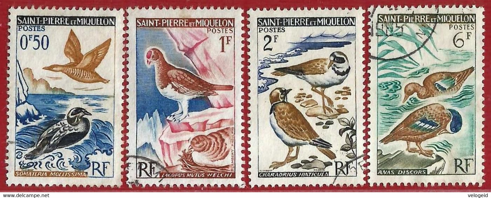 Saint Pierre Et Miquelon.1963. Yvert 364 / 367. Birds. Aves - Used Stamps