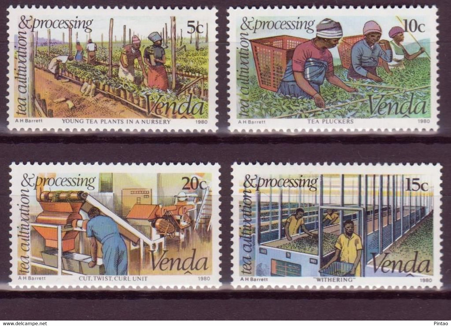 VENDA (ÁFRICA DO SUL) 1980- MNH (AGRICULTURA_CHÁ)_   WW666 - Venda