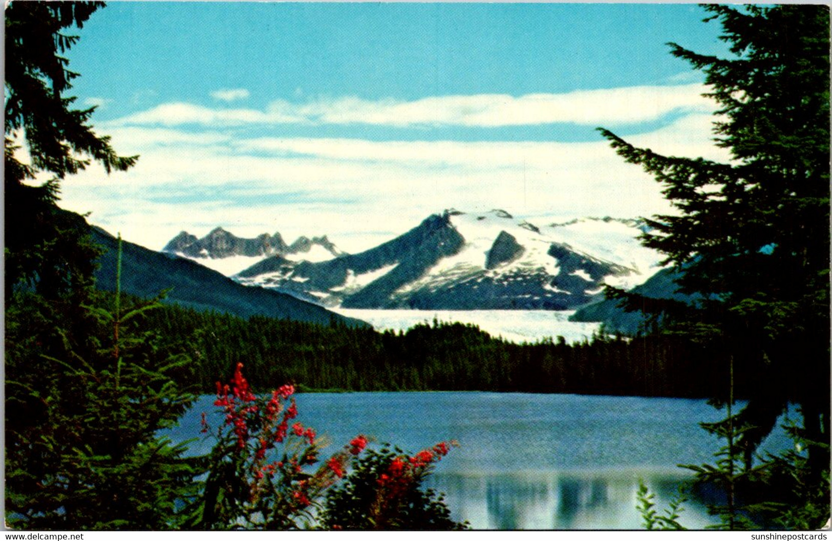 Alaska Mendenhall Glacier Near Juneau - Juneau