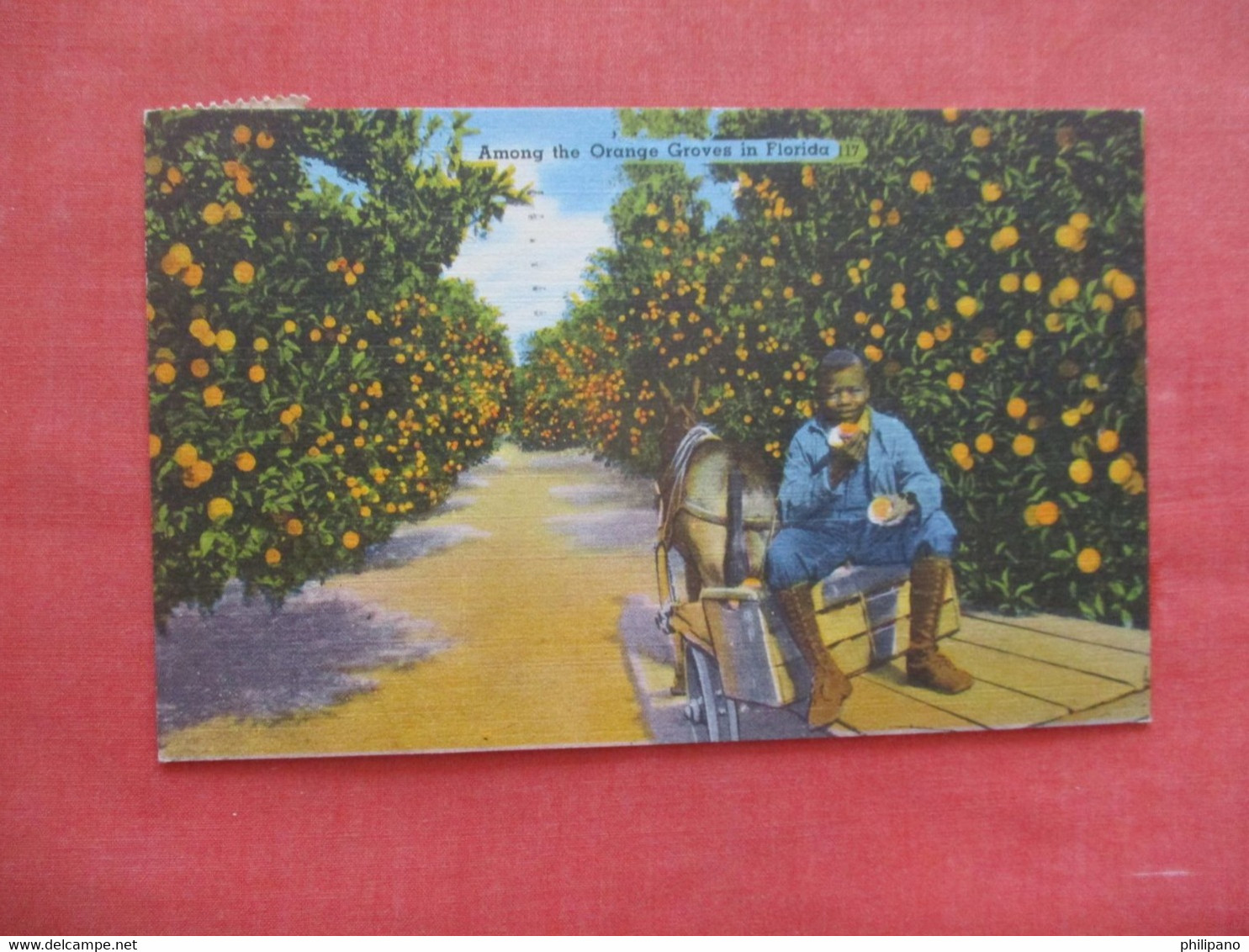 Black Americana    Among The Orange  Groves Florida.     ref 5964 - Black Americana