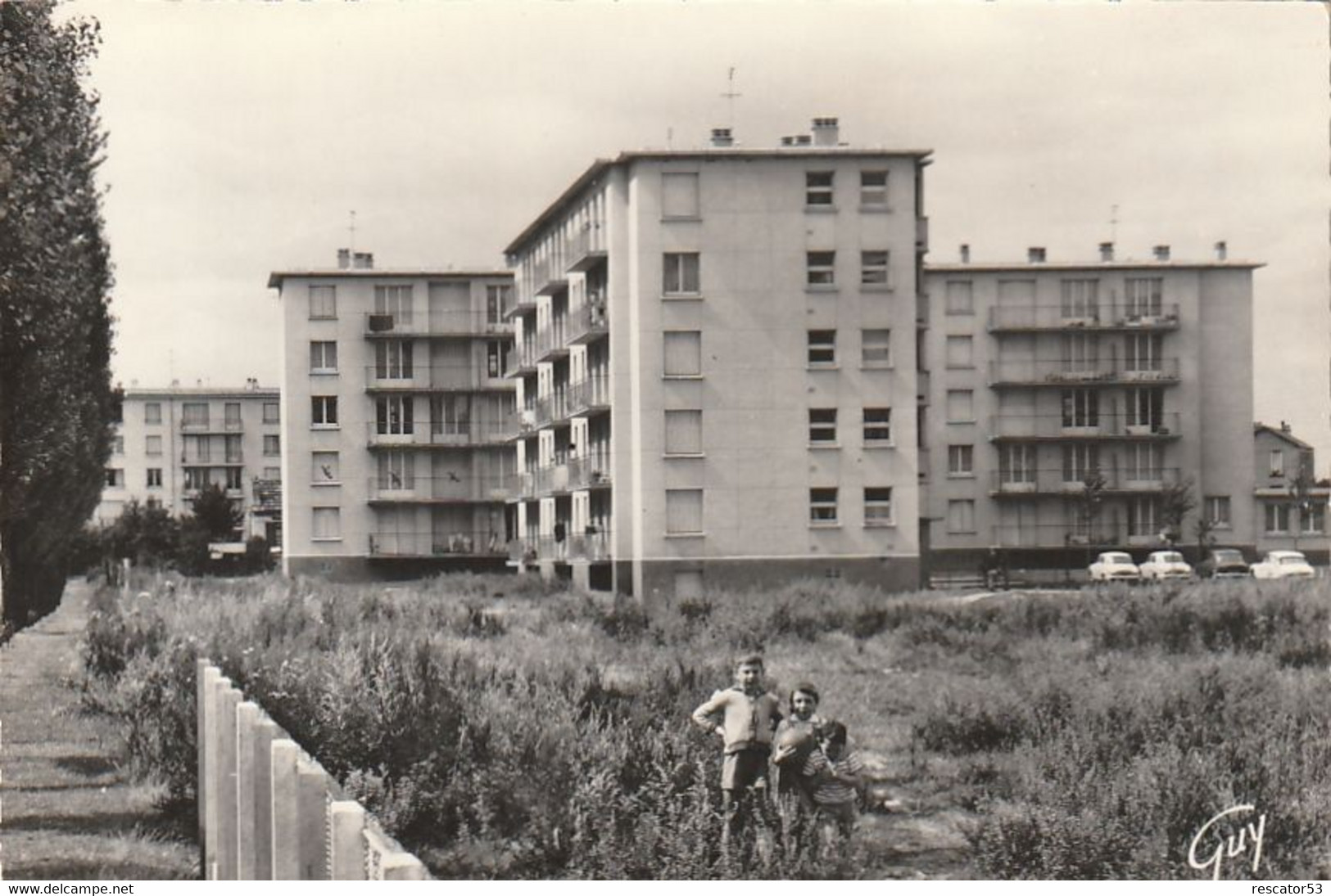 Cpsm Chevilly-Larue Les Sorbiers Résidence  Edmond Barbanson - Chevilly Larue