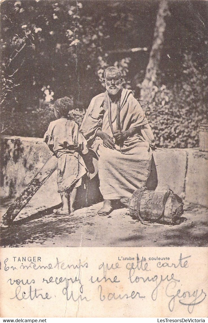 MAROC - Tanger - L'Arbe Et La Couleuvre - Carte Postale Ancienne - Tanger