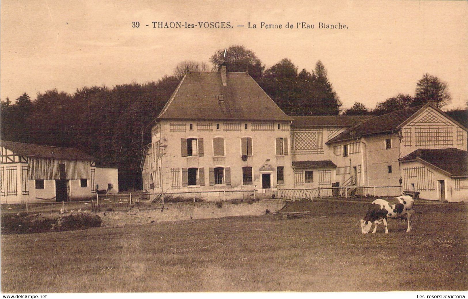 FRANCE - 88 - THAON LES VOSGES - La Ferme De L'eau Blanche - Carte Postale Ancienne - Thaon Les Vosges