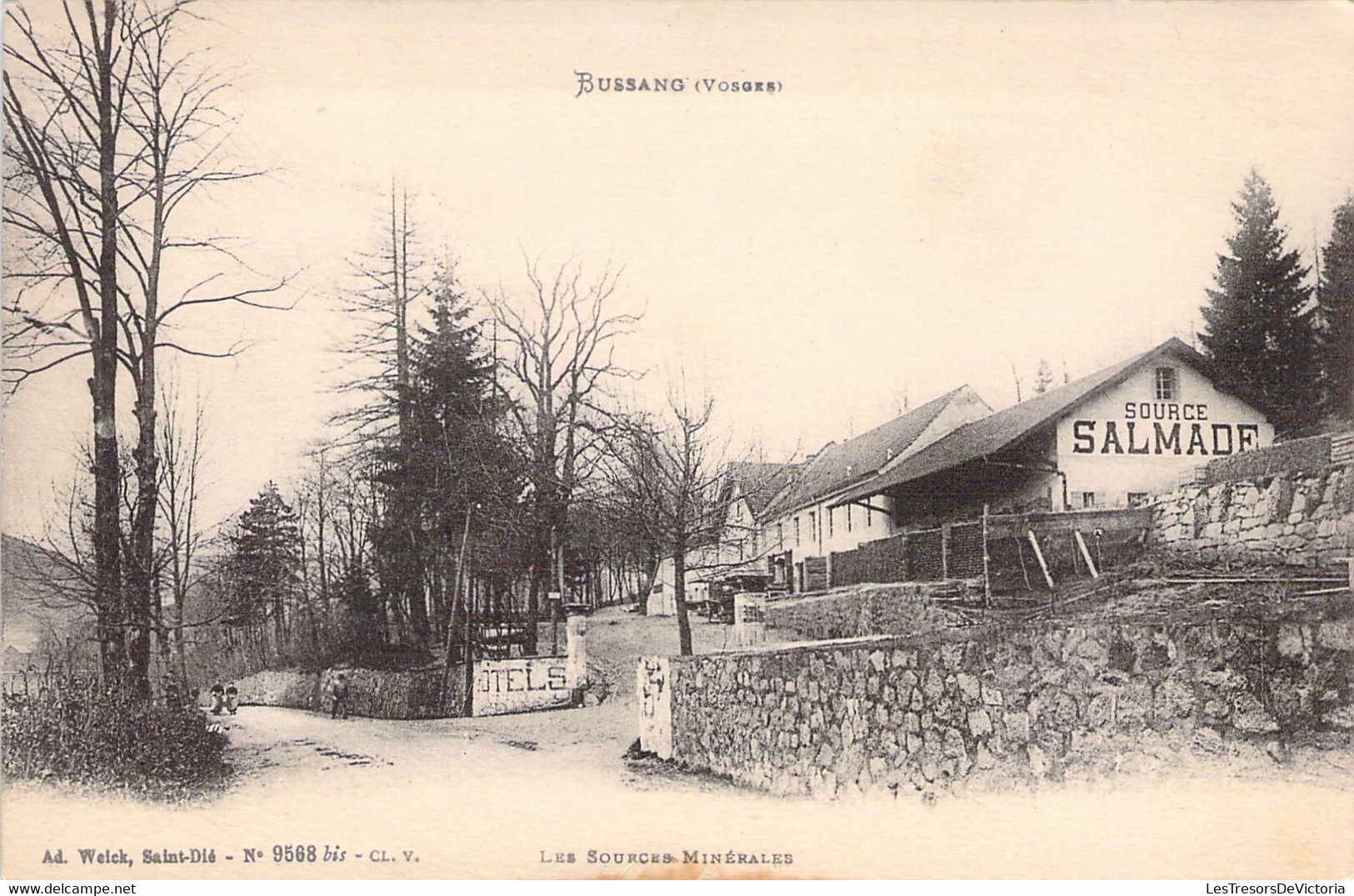 FRANCE - 88 - BUSSANG - Les Sources Minérales - Carte Postale Ancienne - Bussang